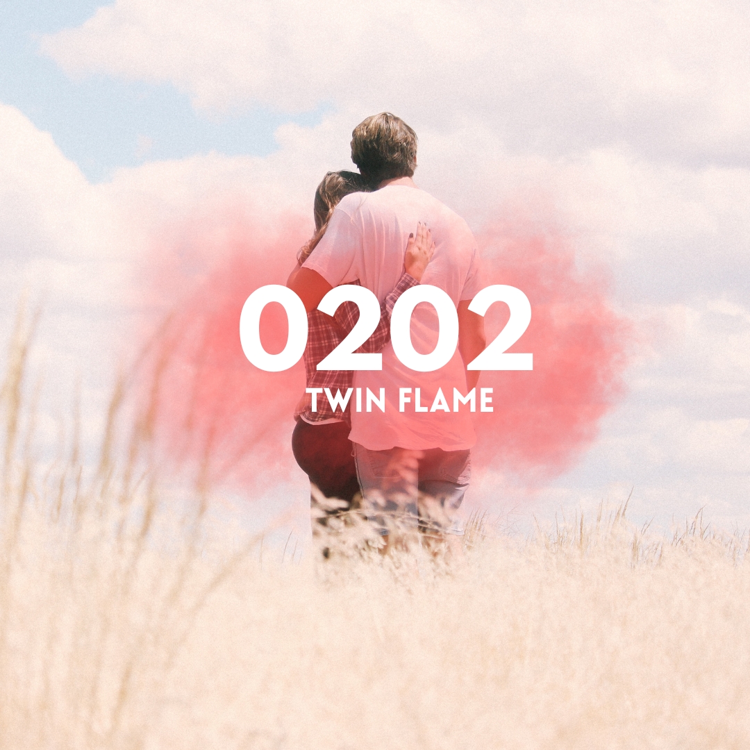 angel number 0202 twin flame